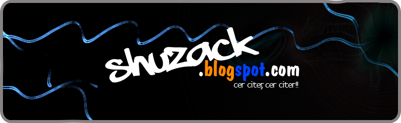 ini.blog.shuzack