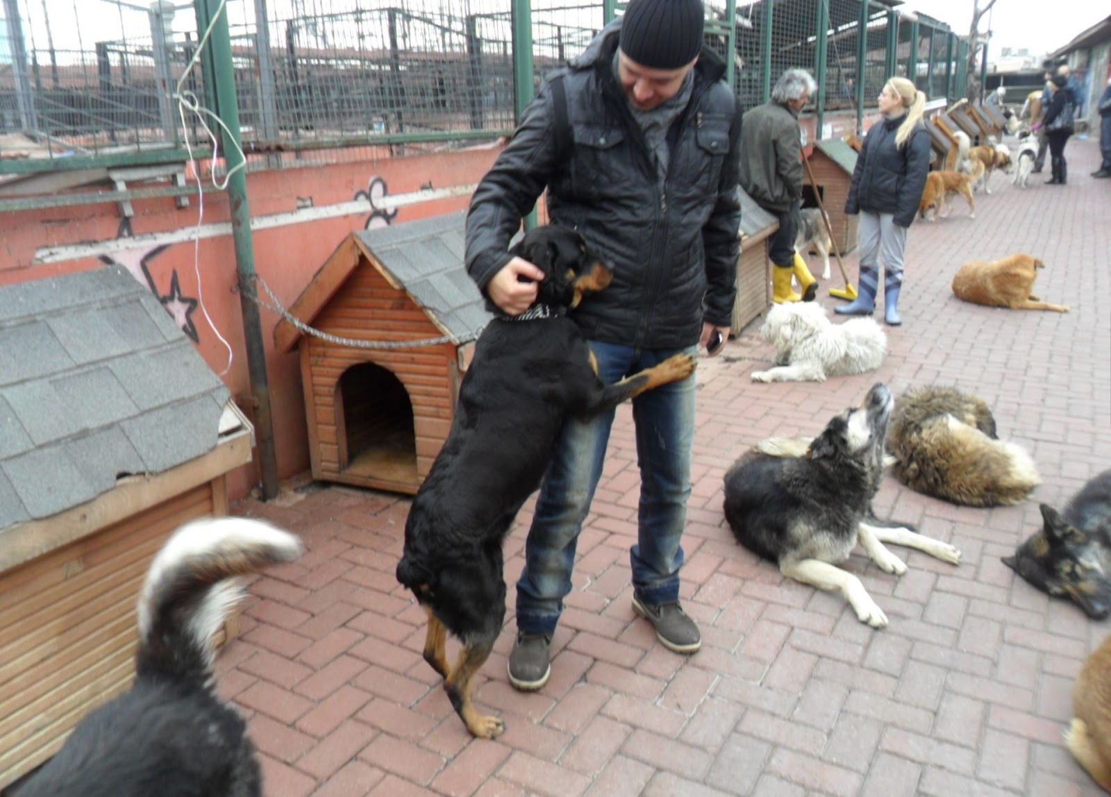 barinak hayvanlari icin el ele yedi kule hayvan barinagi ziyaretinden kareler