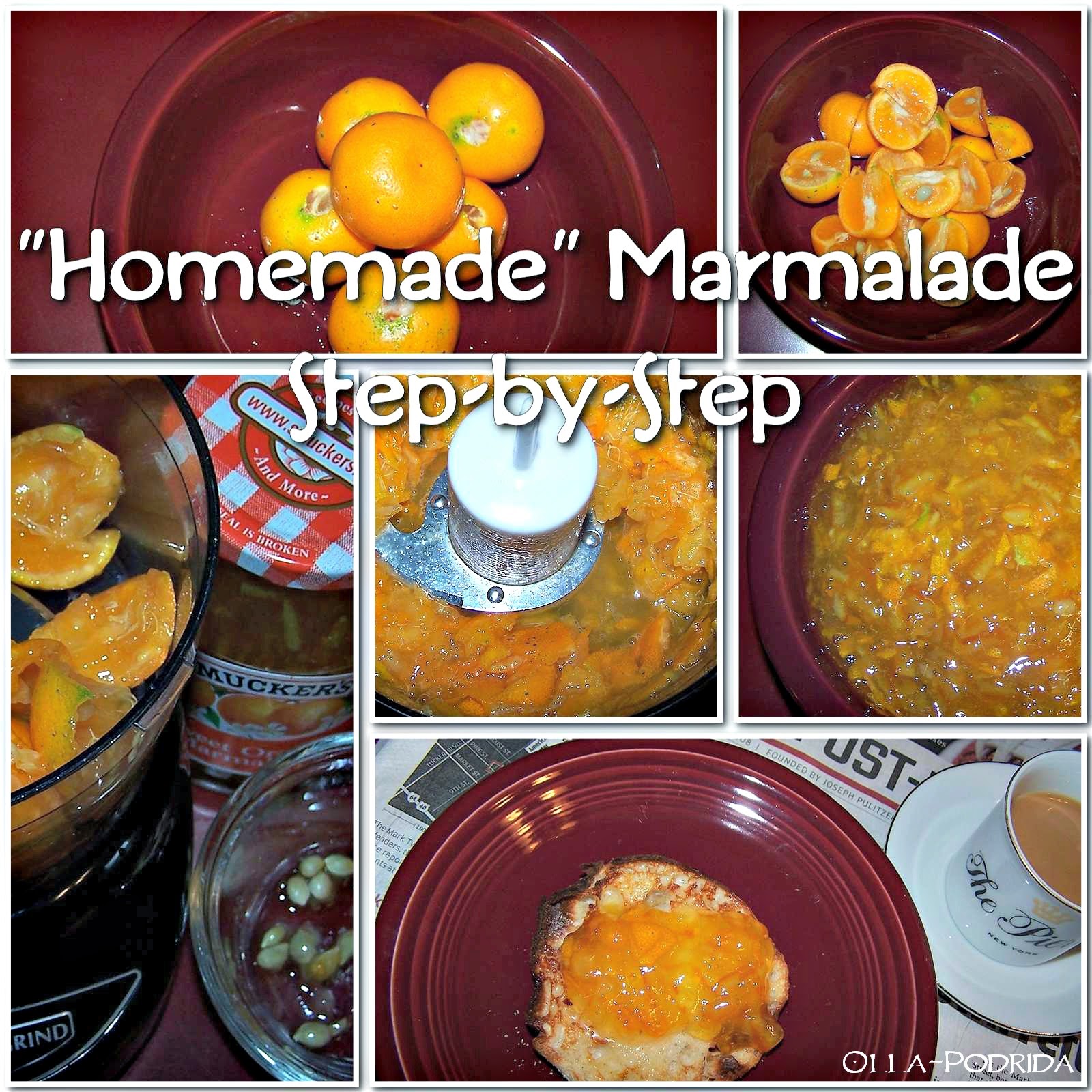 OllaPodrida Calamondin Marmalade