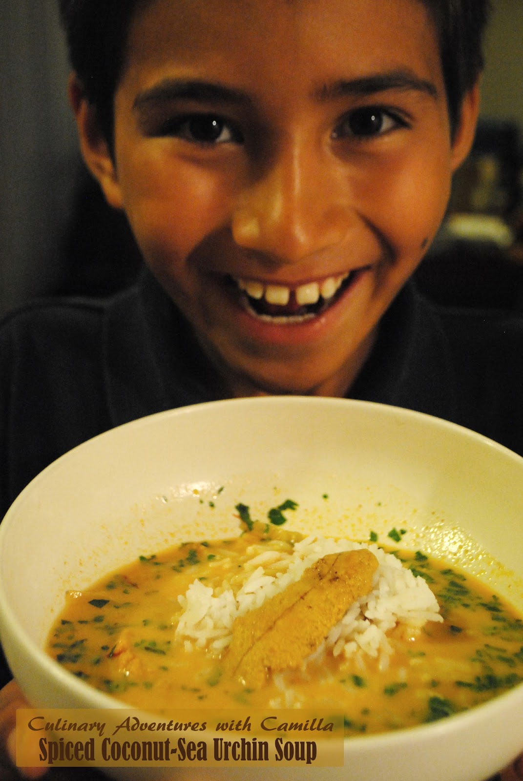 Culinary Adventures With Camilla D S Spiced Coconut Sea Urchin Soup
