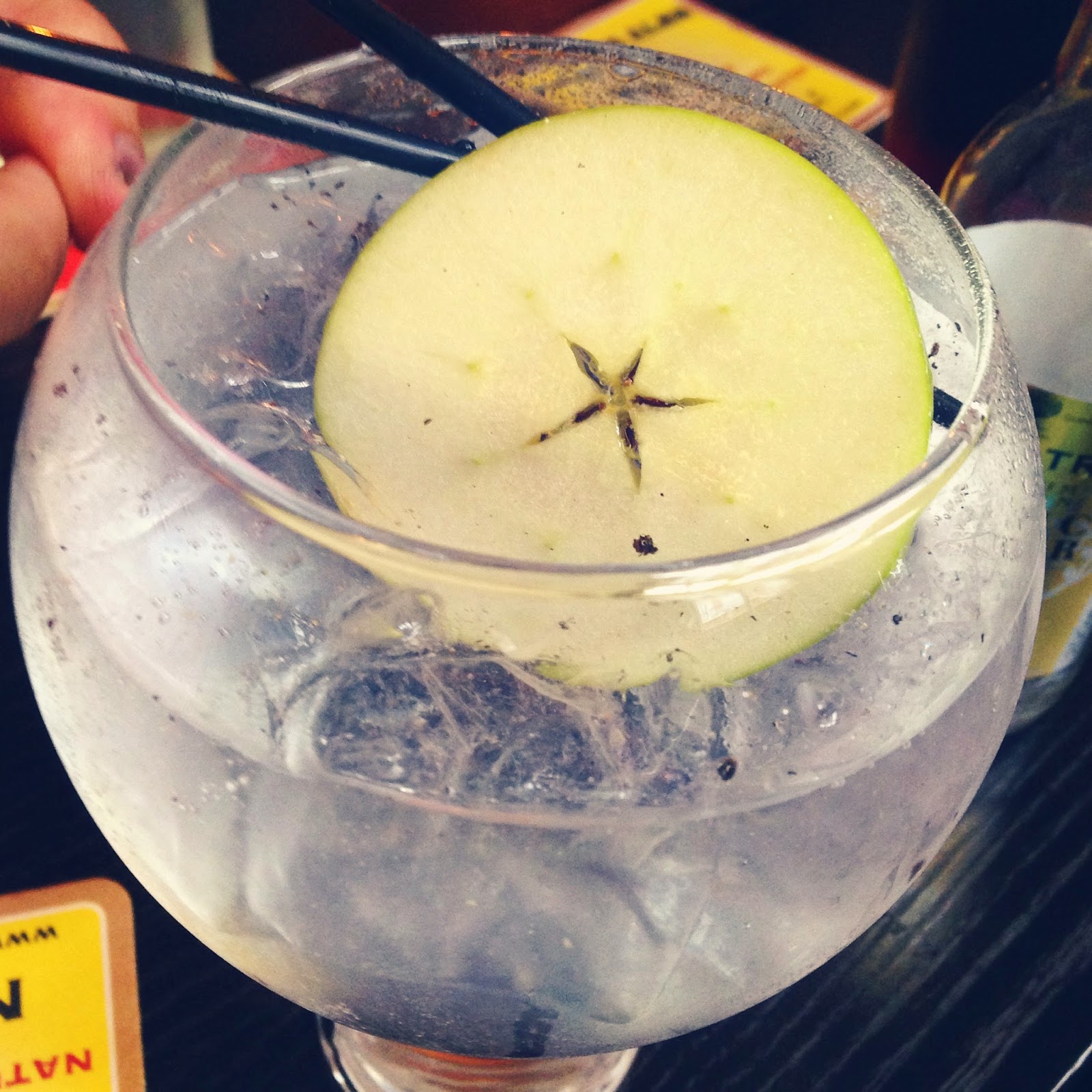 6 Alternative Gin and Tonic Garnishes You Must Try Vinspire