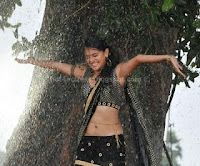 Taapsee, hot, wet, navel, photos