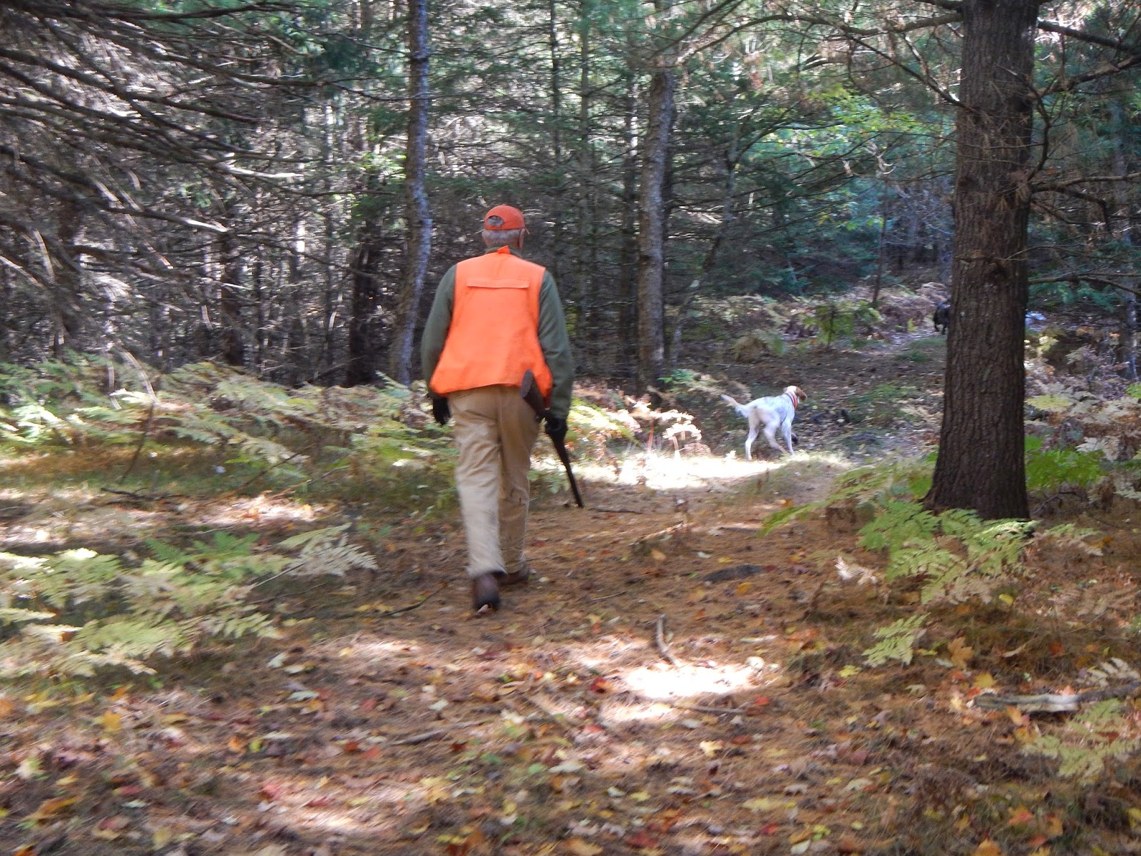 Michigan Grouse Trip Delamere Hopkins