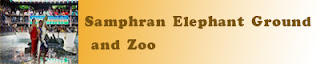 Samphran Elephant Ground and Zoo