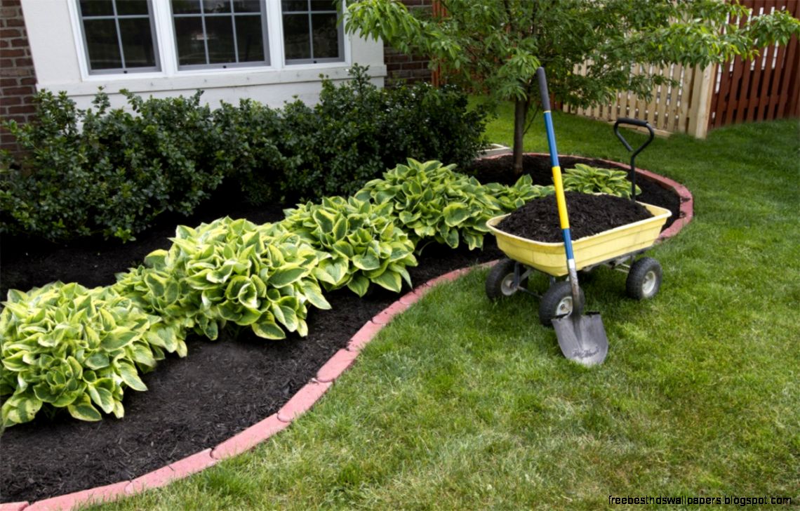 front landscaping ideas Landscaping Ideas for a Small Backyard front landscaping ideas Landscaping Ideas for a Small Backyard