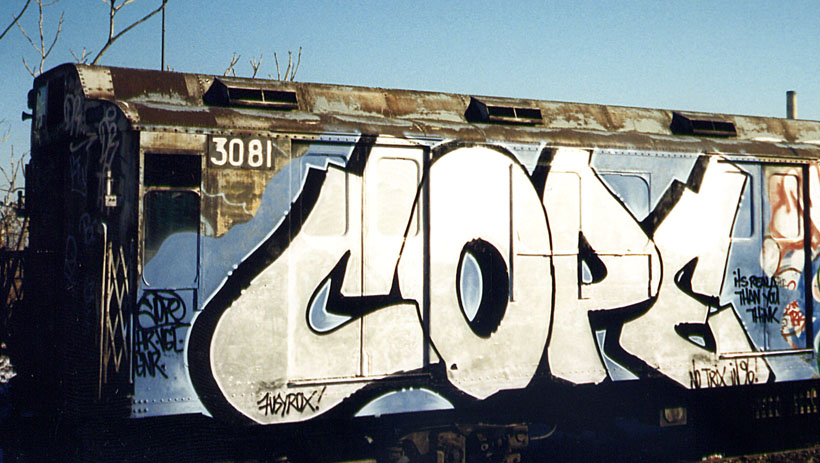 Transportation Hub Subway Cars Tagged With Graffiti Brazen