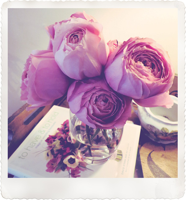 La Fleur Vintage: Garden Roses