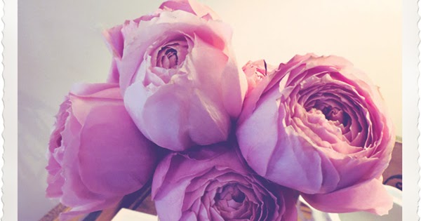 La Fleur Vintage: Garden Roses
