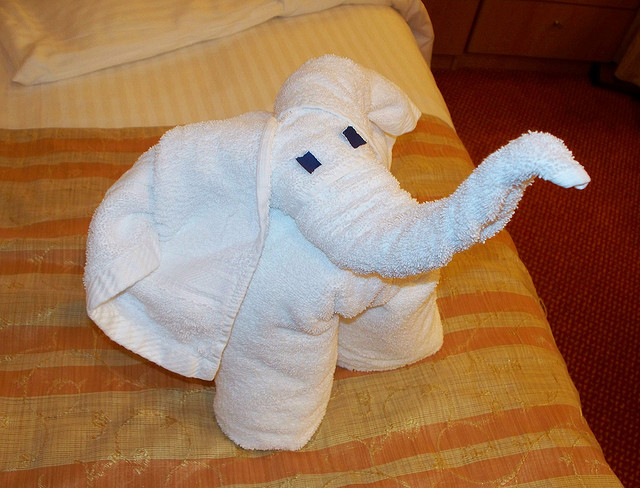 Towel Folding Designs