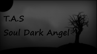 T.A.S Soul in a Dark Angel