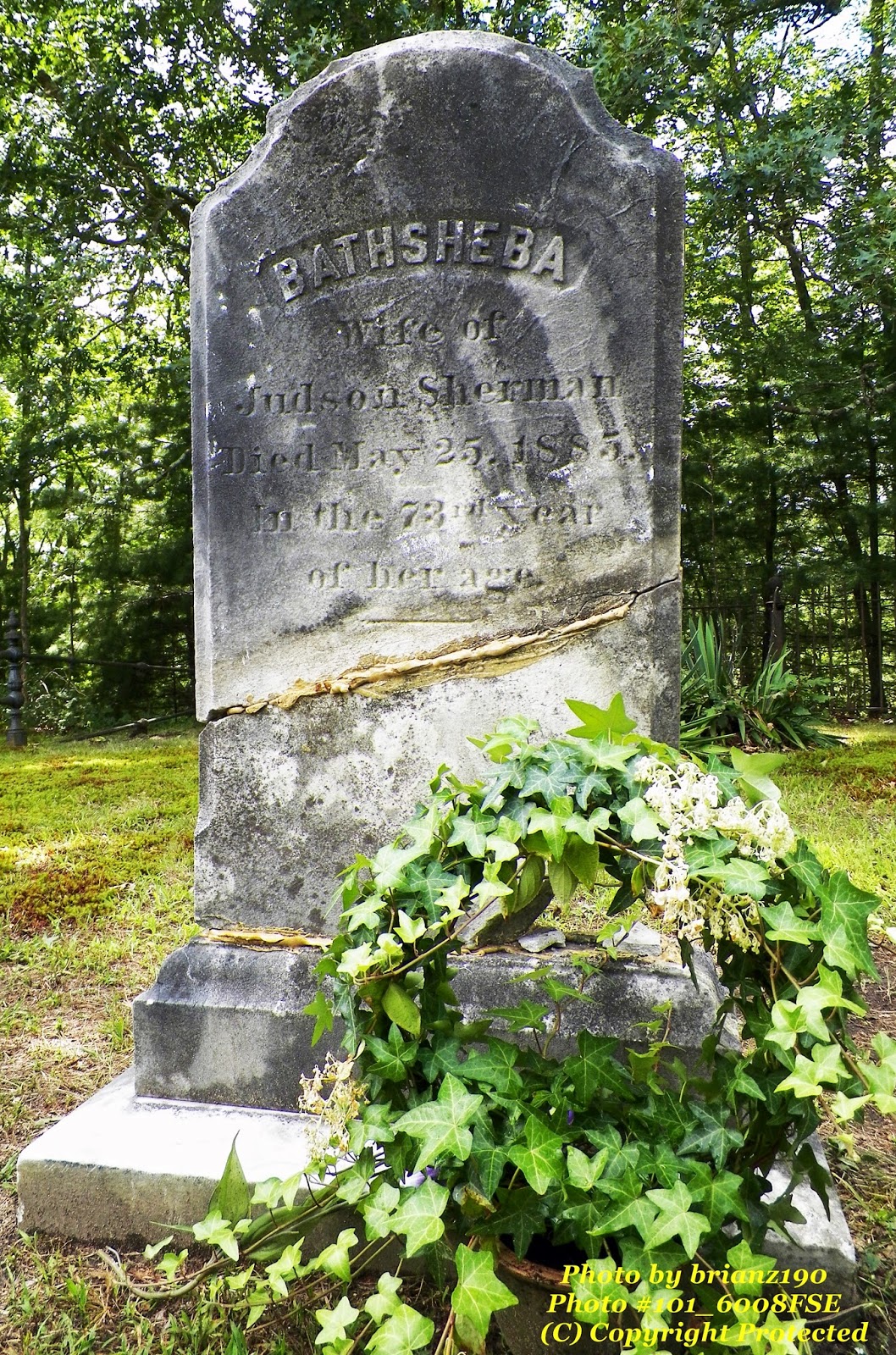 DREAMING CASUALLY (Investigative Blog) by J'aime Rubio The Real