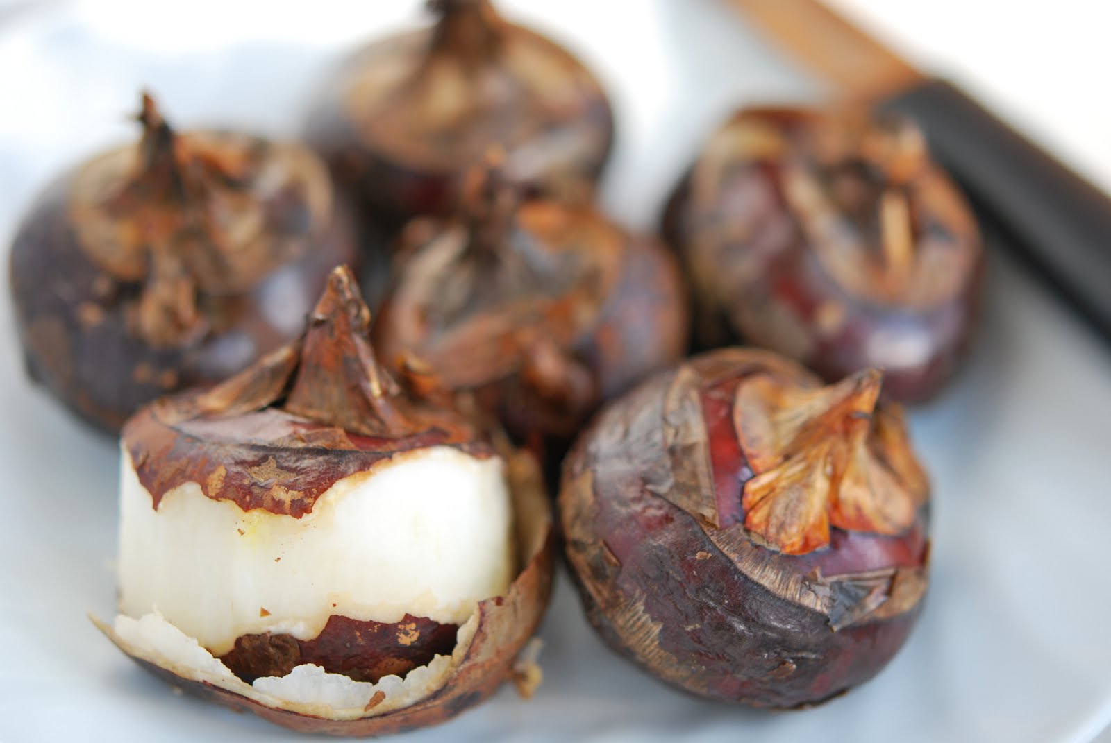 Easy south indian recipe Singhare ka Halwa (Water Chestnut Halwa) Navrathri Special Recipe