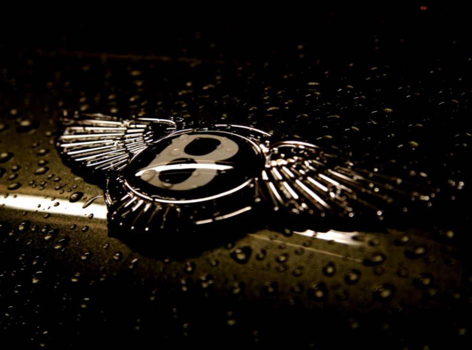 Bentley Continental gt Logo Bentley Continental gt Logo