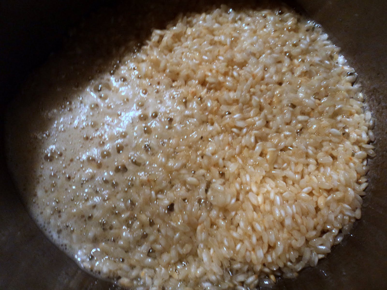 Sweet & Salty Southern Comfort Risottostyle Coconut Rice Pudding