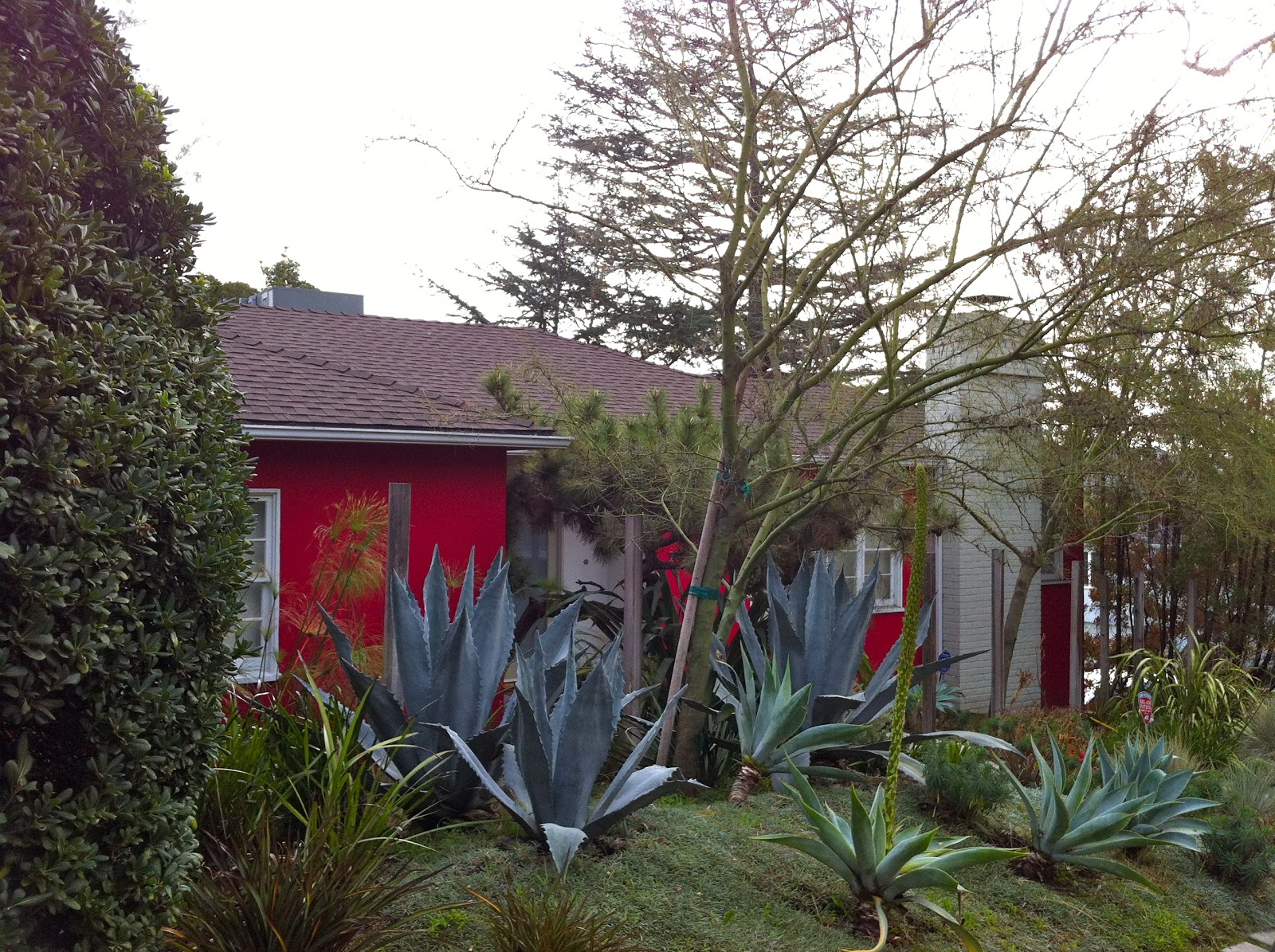 Landscape Design Los Angeles Ca