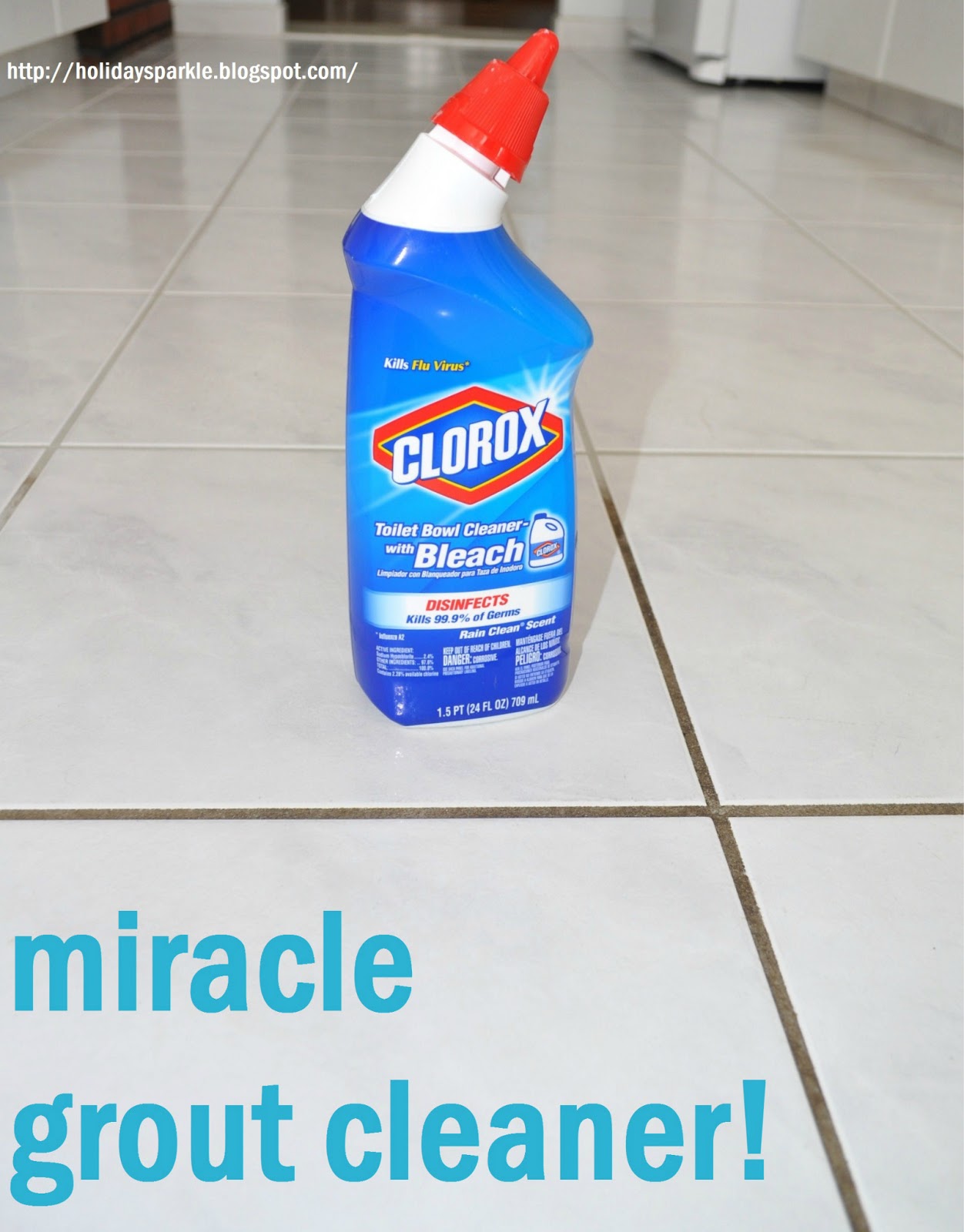 Holiday Sparkle Grout Cleaner