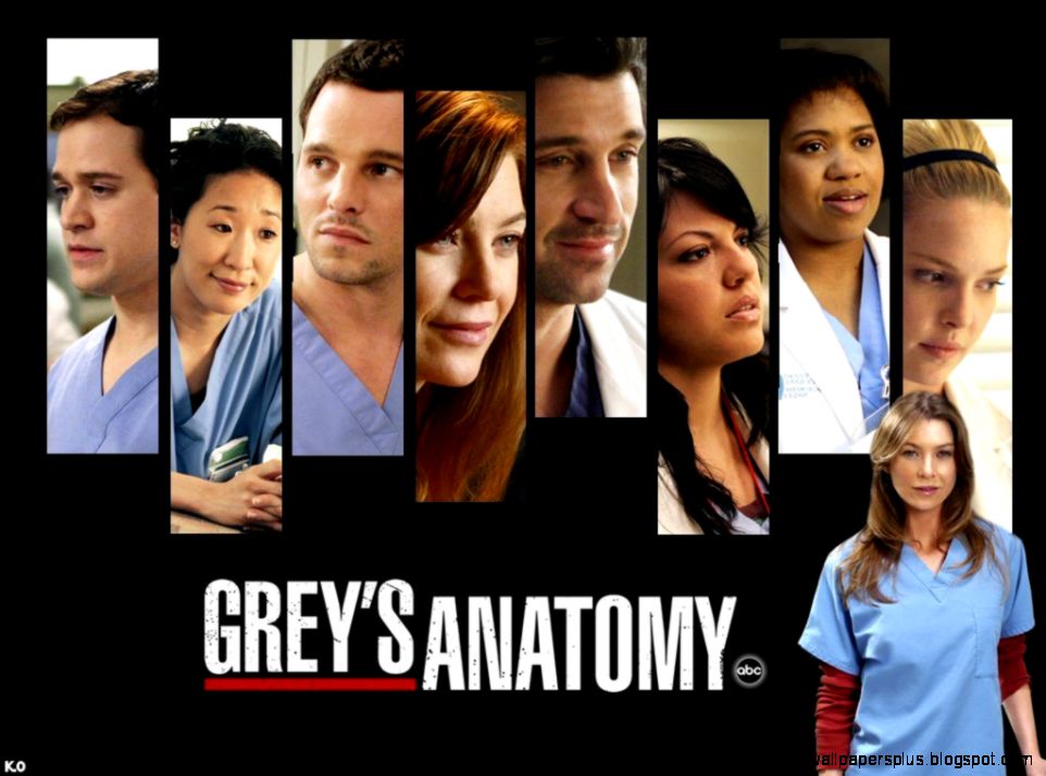 Whose anatomy Dissecting grey vs gray Science Refinery Whose anatomy Dissecting grey vs gray Science Refinery