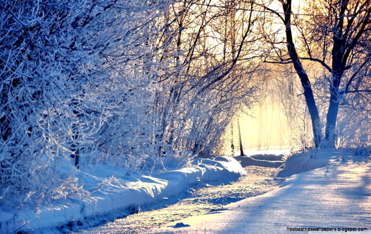 Winter Morning Light HD desktop wallpaper High Definition Winter Morning Light HD desktop wallpaper High Definition