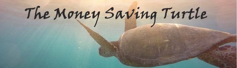 Money Saving Turtle