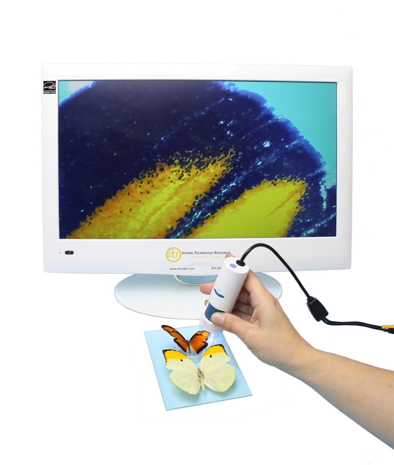 Video Microscope Review