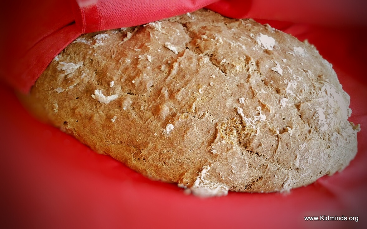 Buckwheat Bread no yeast, no milk, no eggs, no knead recipe KidMinds