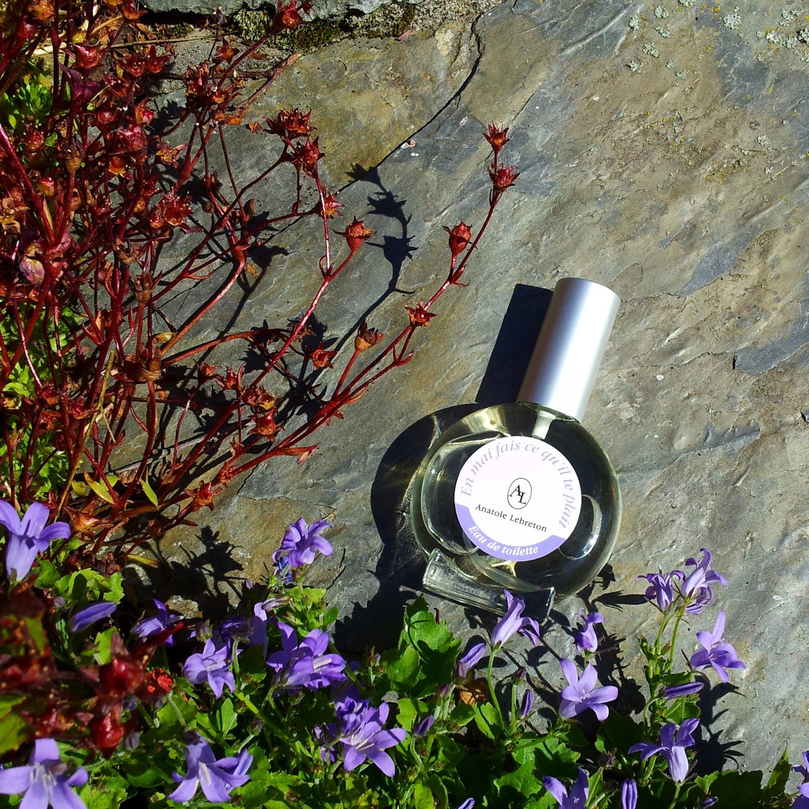 jecontacte rencontres éphémères