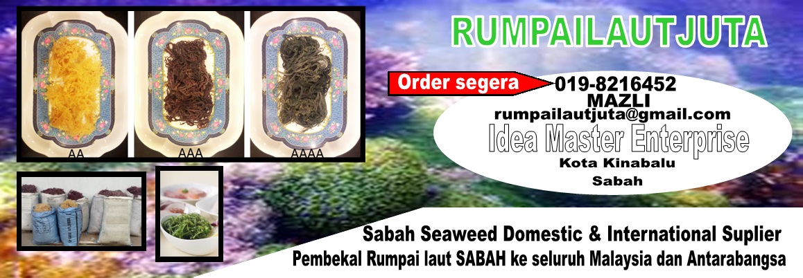 Pembekal Rumpai Laut Kolagen Sabah (Sabah Seaweed Suplier)