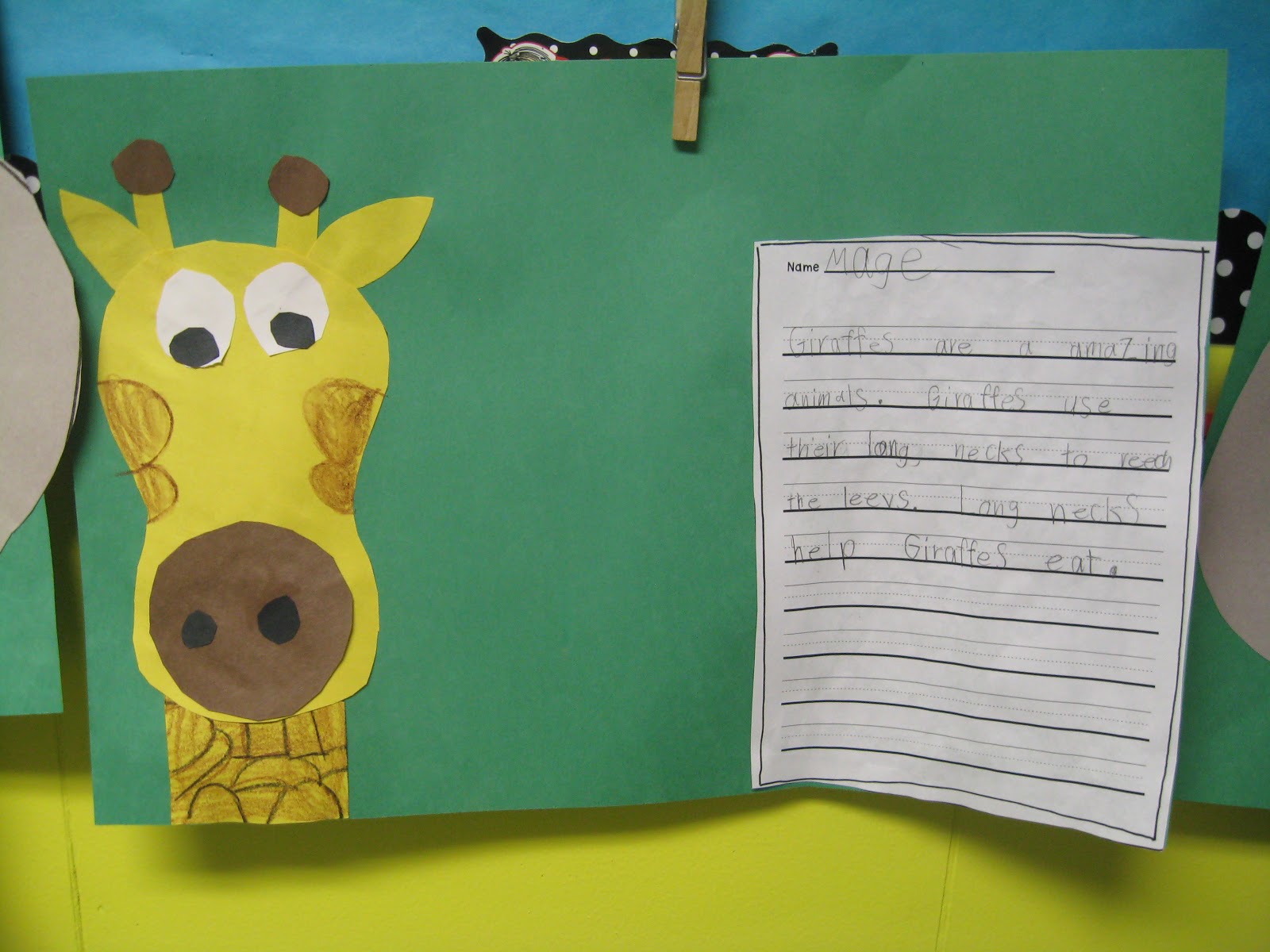 Amazing Animals First Grade Shenanigans