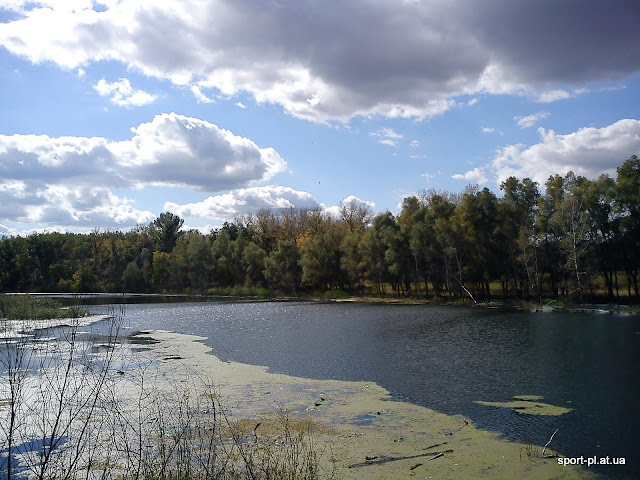 Зображення