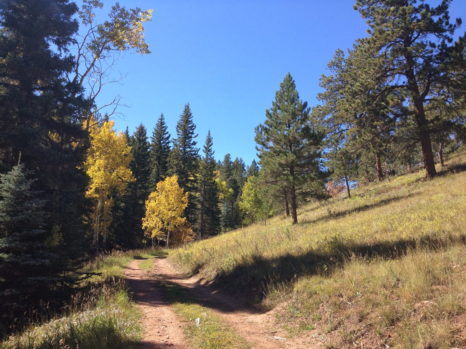 Take A Break Conifer Community Park, Conifer, Colorado