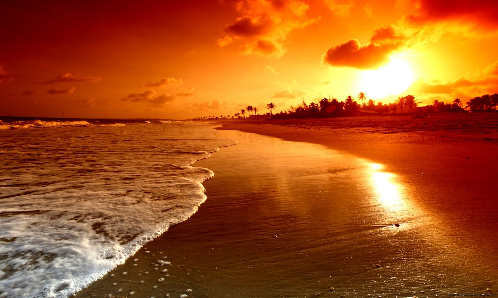 Tropical Beach Sunset Tropical Beach Sunset