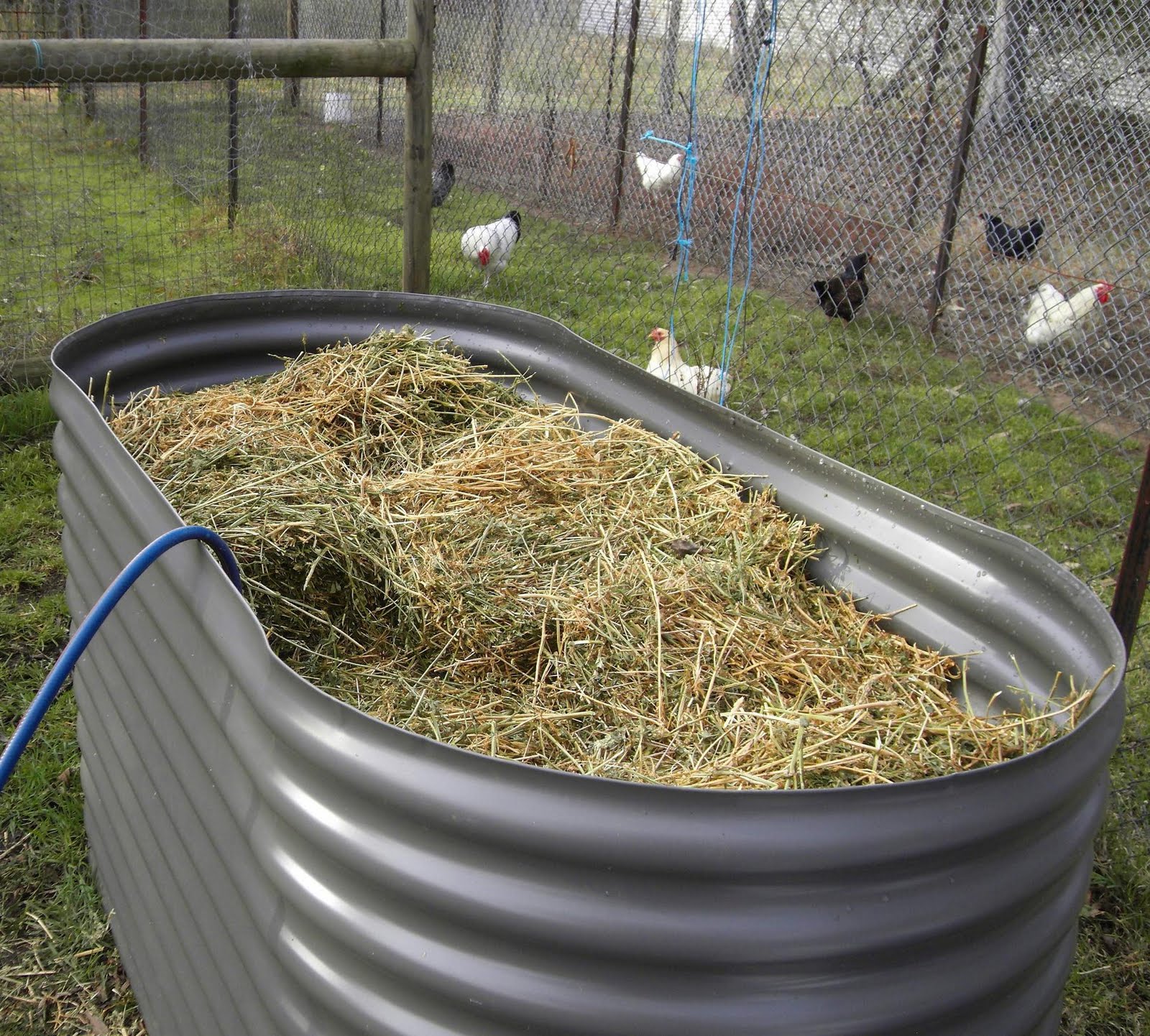 Raised Veggie Garden