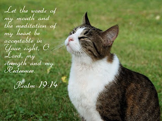 Psalm bible verse with green grass background picture about God