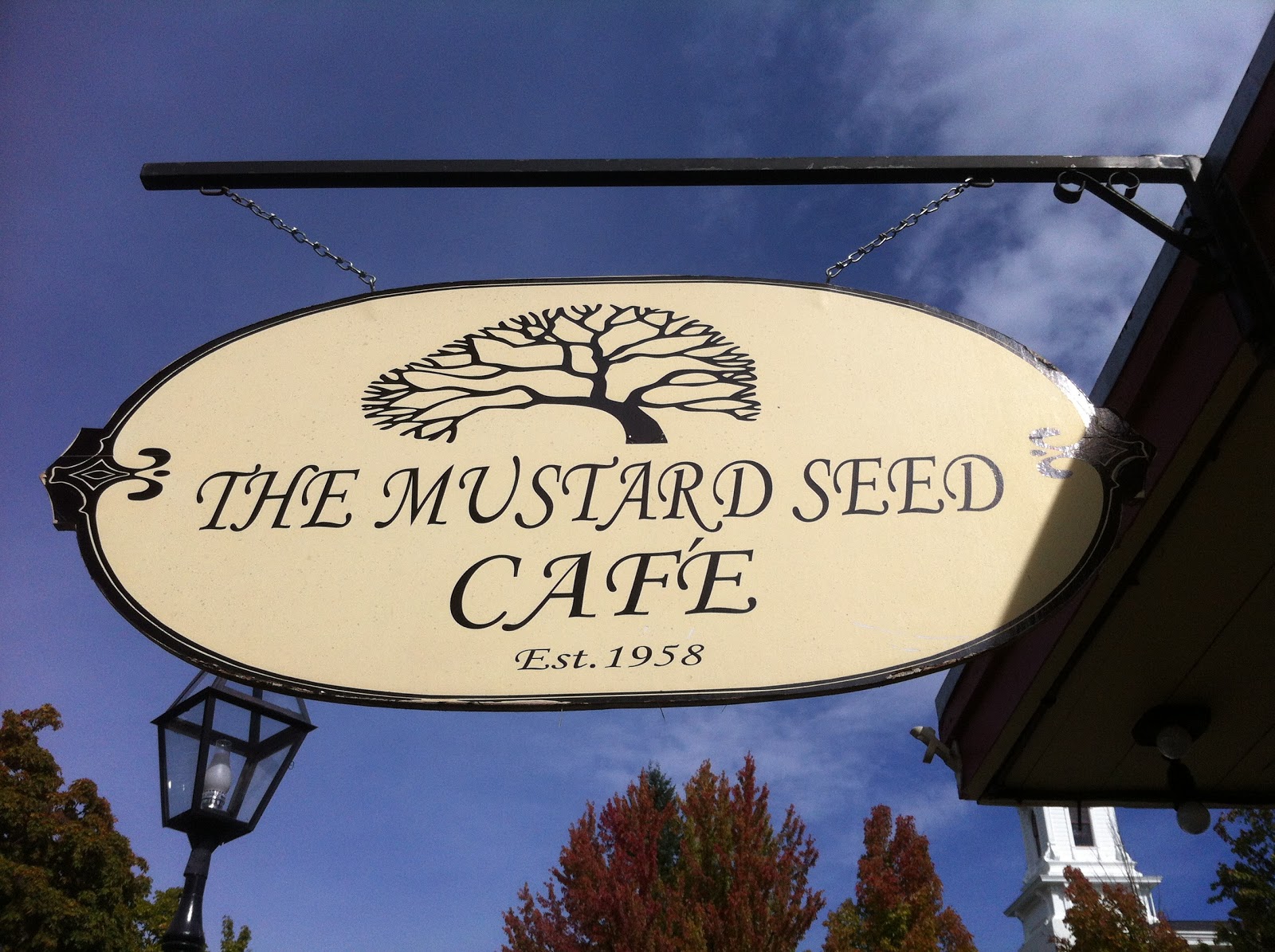 HOLLYWOOD SUE CAMERON December 2012