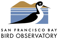 San Francisco Bay Bird Observatory