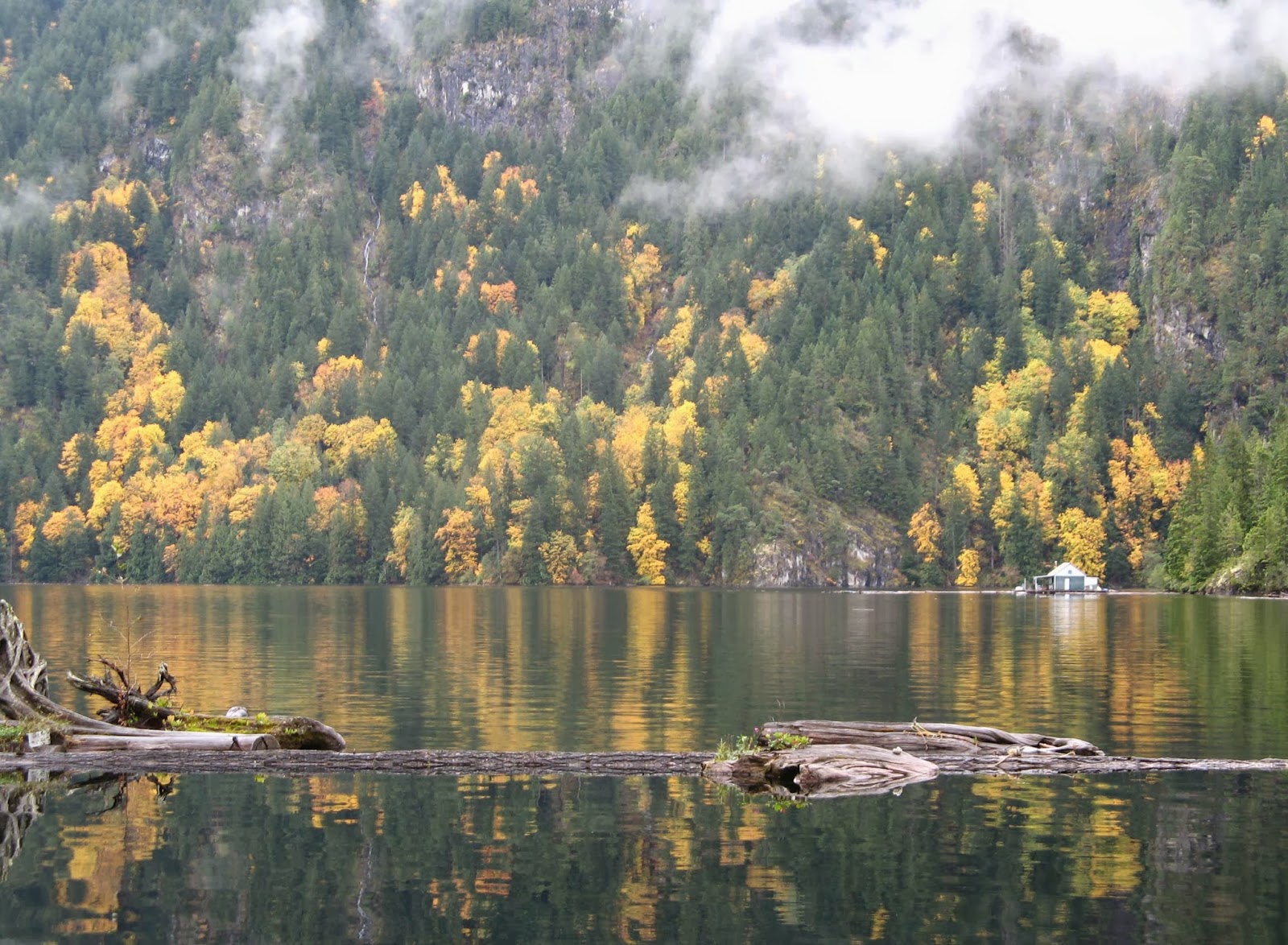 Powell River Books Blog Float Cabins for Sale on Powell Lake BC