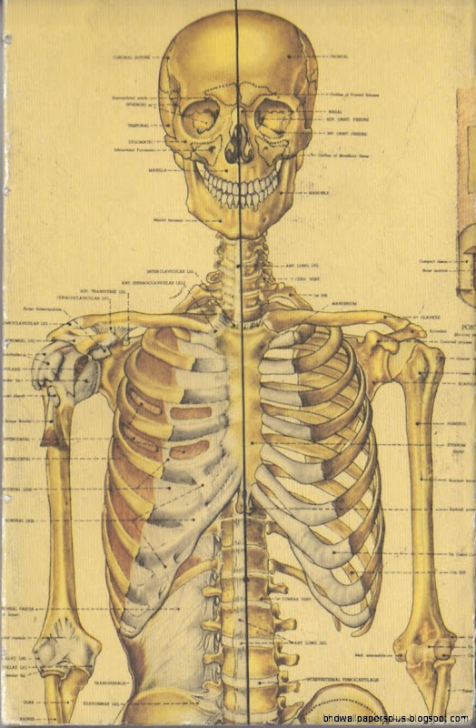 Sketchnoting Adventures – Anatomy Sketchbook Mad Art Lab Sketchnoting Adventures – Anatomy Sketchbook Mad Art Lab