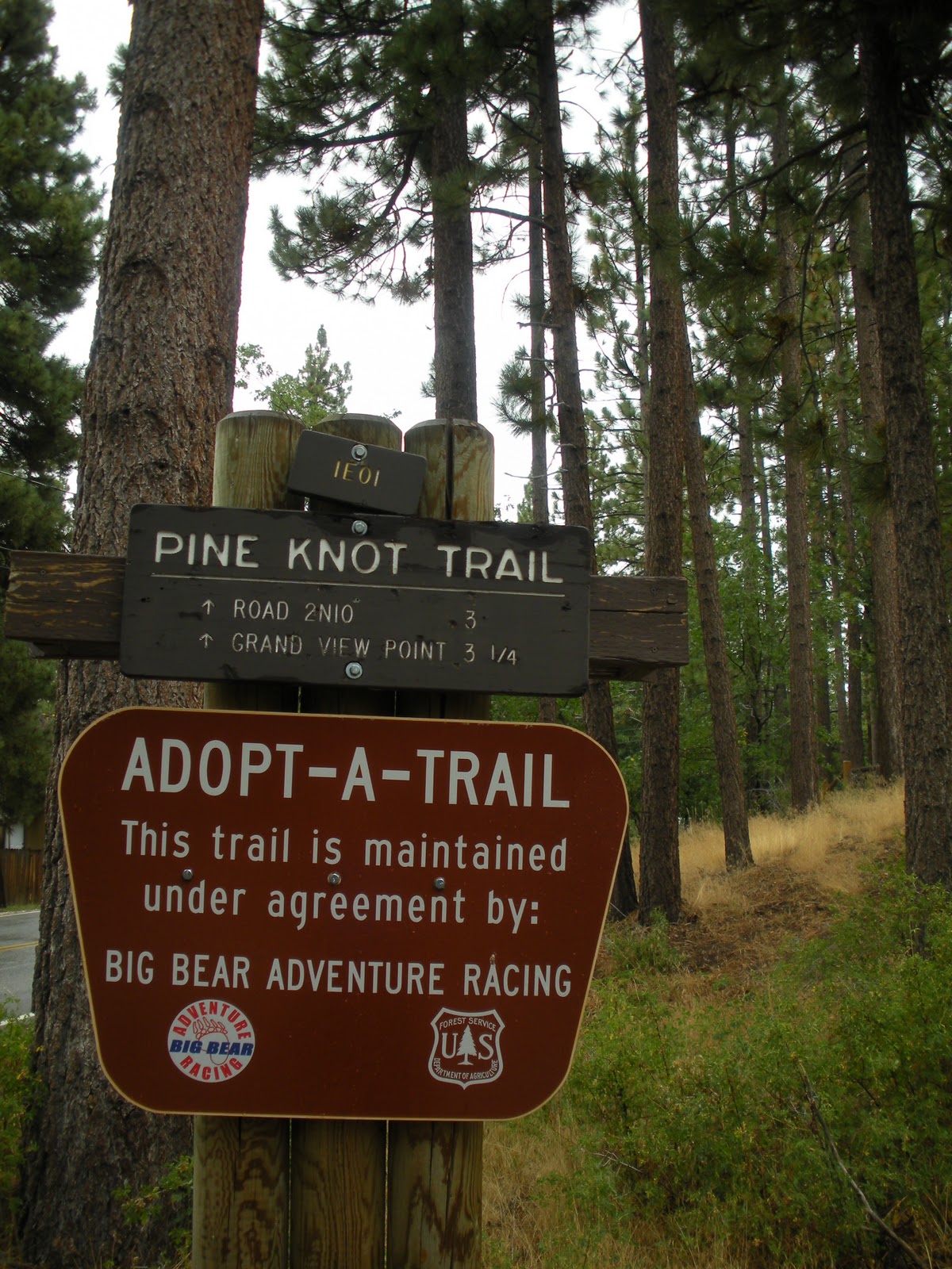 The Search for J Street Big Bear Lake Pine Knot Trail
