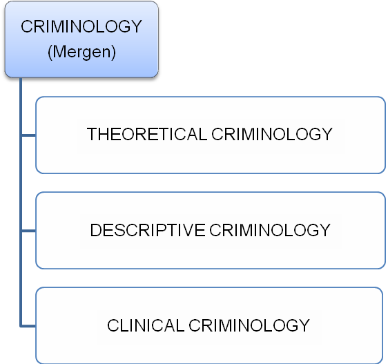 Theoretical criminology Definition of criminology
