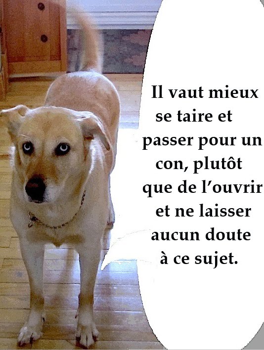 parole amusante qui fait rire parole amusante qui fait rire