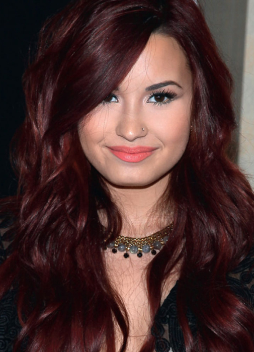 A Girl S Life Diva Chameleon See How To Copy 5 Demi Lovato