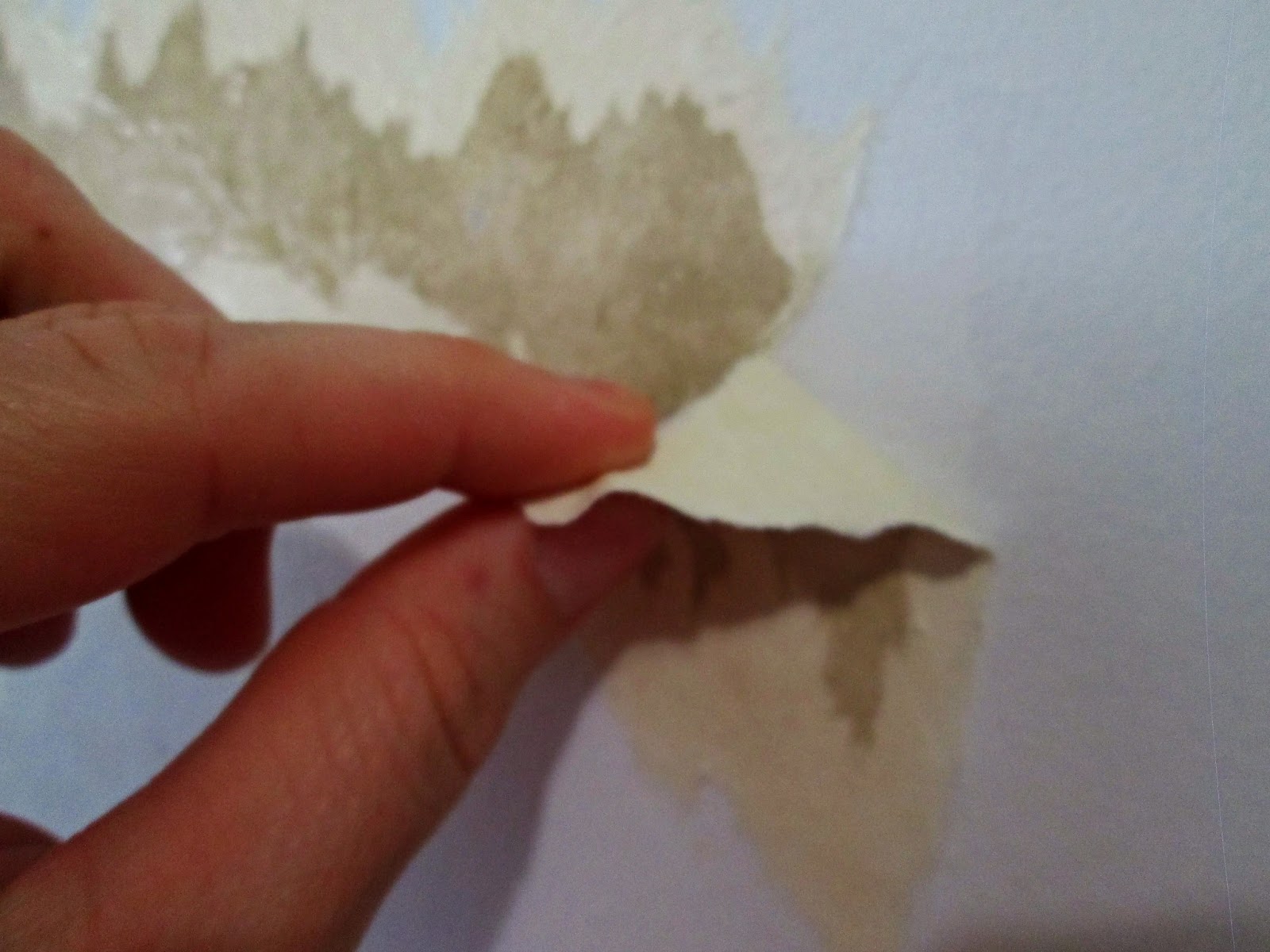 THE REHOMESTEADERS: Homemade Wallpaper Remover