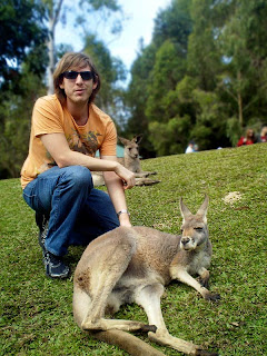 Kangaroo, Currumbin Wildlife Sanctuary review, Gold Coast