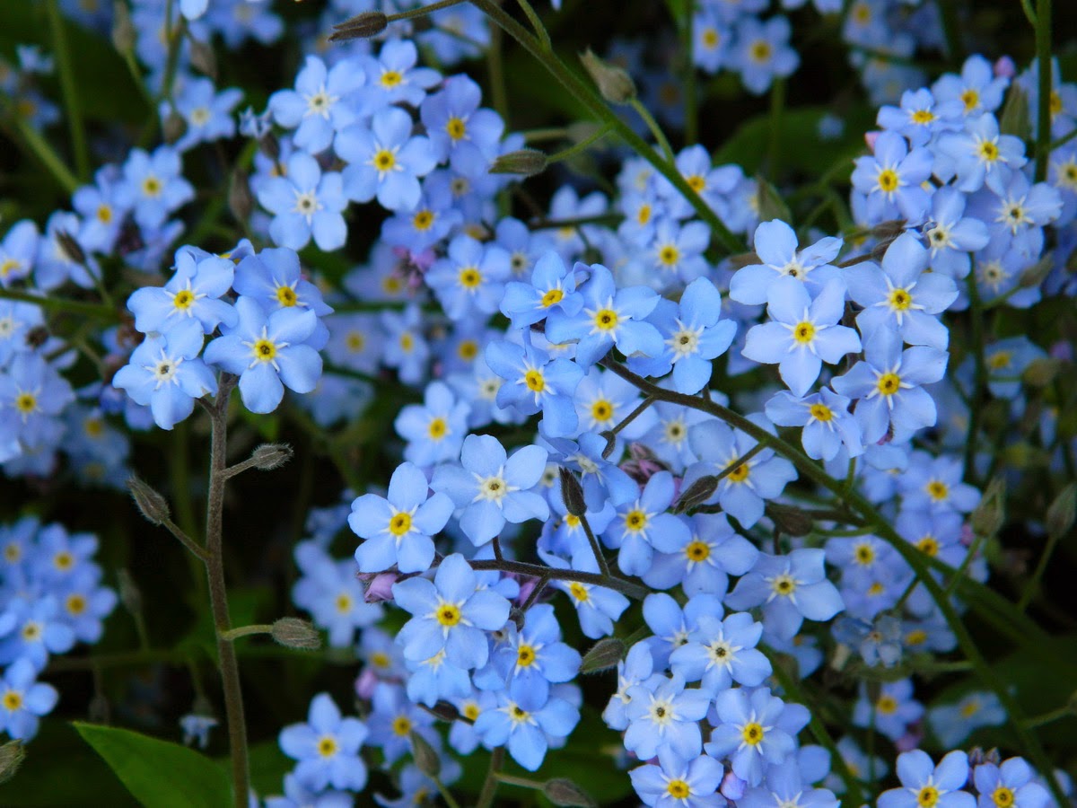 Felicitare La Multi Ani Emag Ro