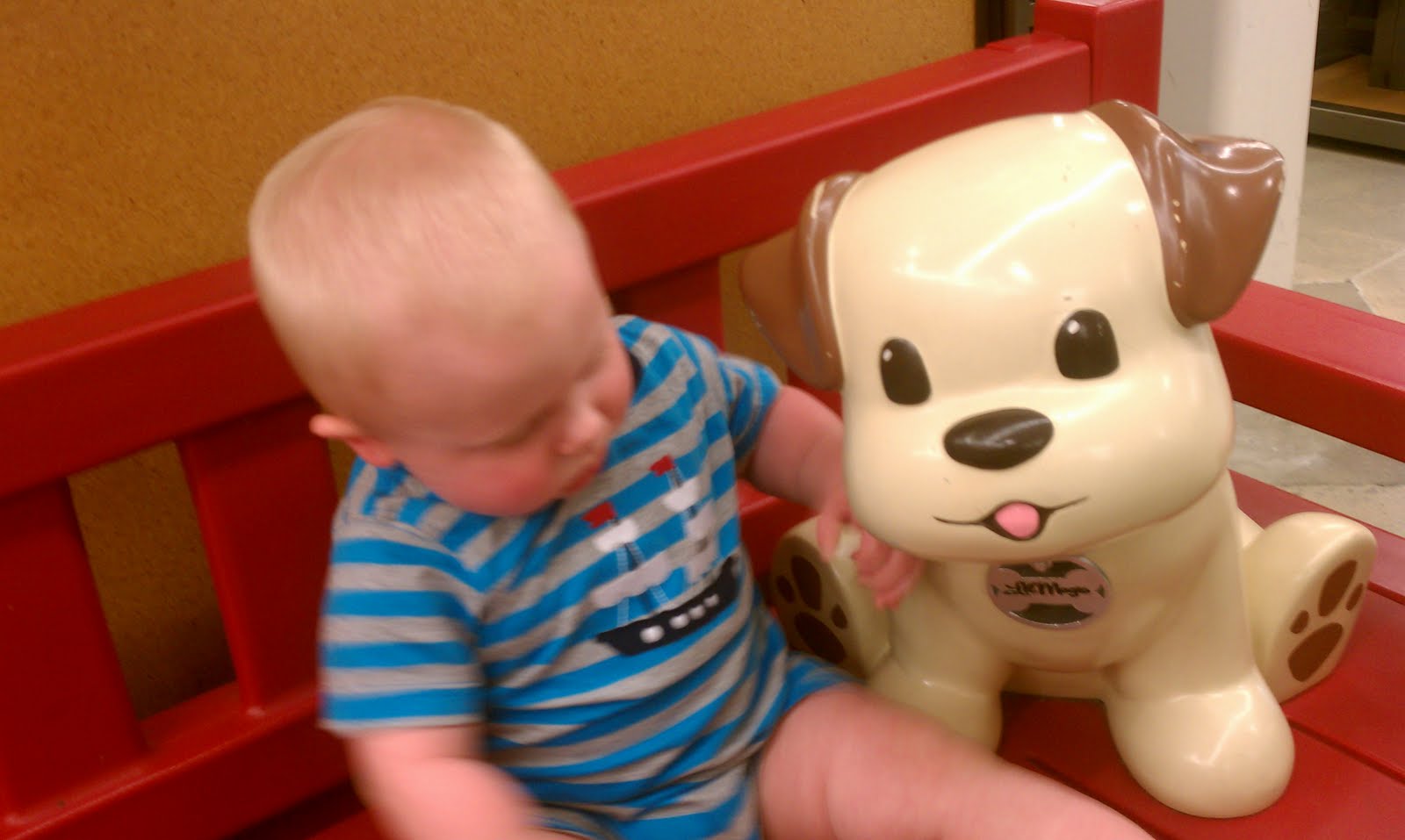 the hannam family Jacob and the dog at Old Navy!