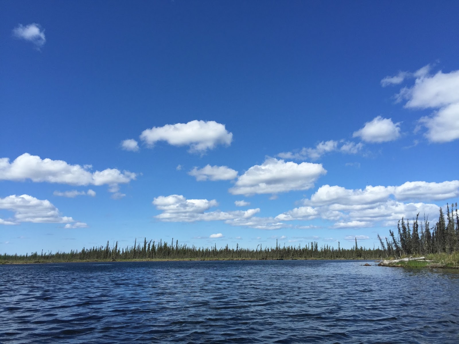 Kayaking the Clearwater River Delta Junction, Alaska Two Soulmates