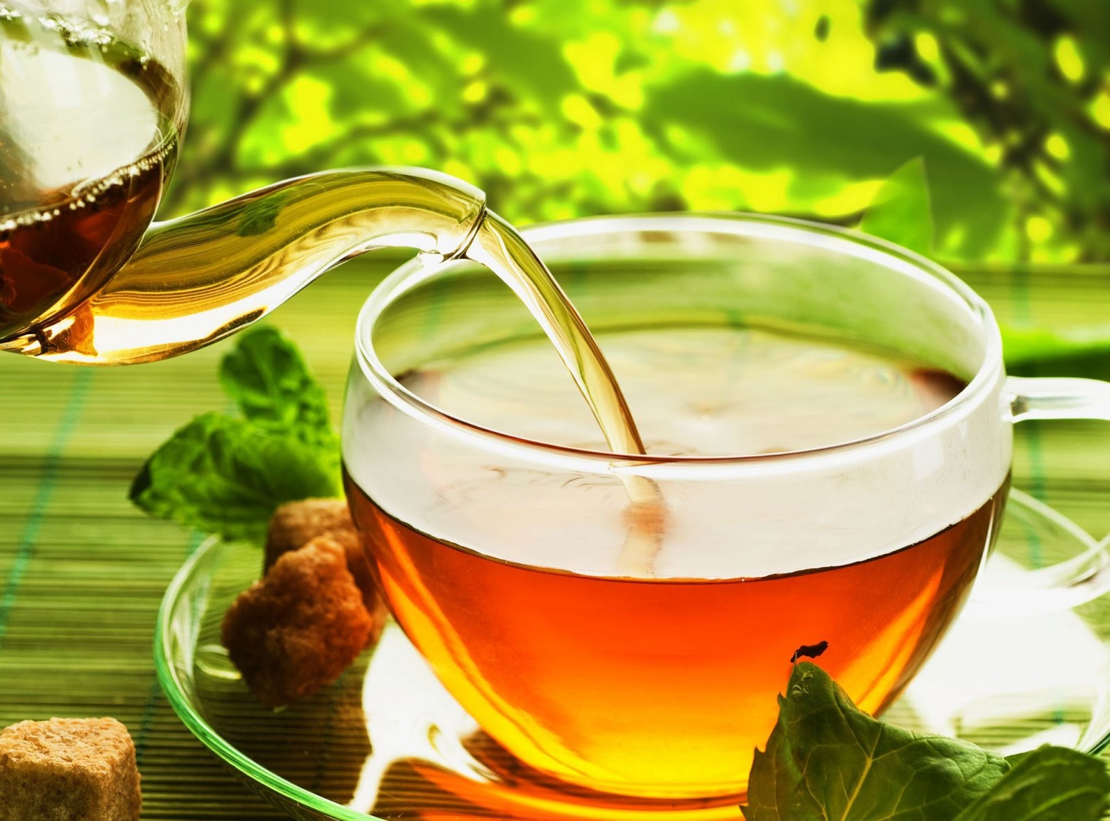 the amazing benefits of green tea