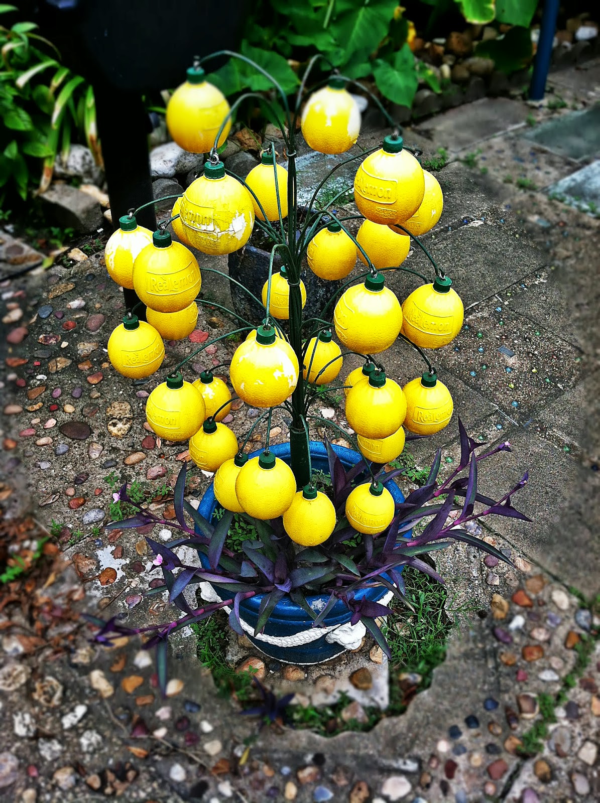 Home is where the 50,000+ Cans of Beer Are The Beer Can House