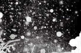 Blognot Lapa Lapa Kar Yagiyor