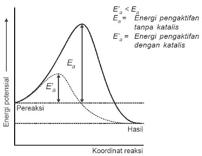 Teori Shelvywellmida